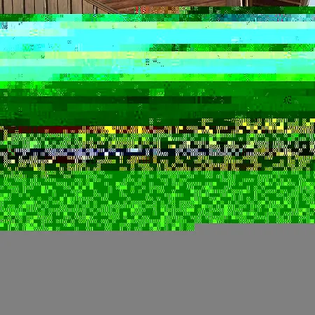 Appartement Sunneblick Grindelwald