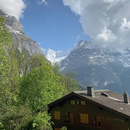 Appartement Sunneblick *