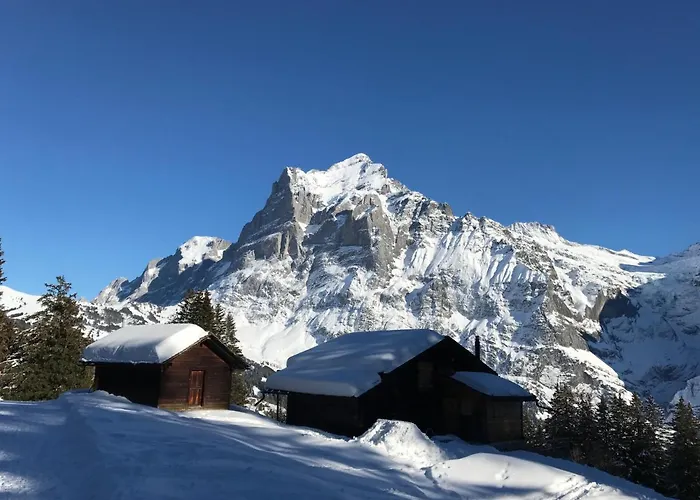 Sunneblick Lejlighed