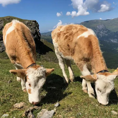 Apartmán Sunneblick Grindelwald